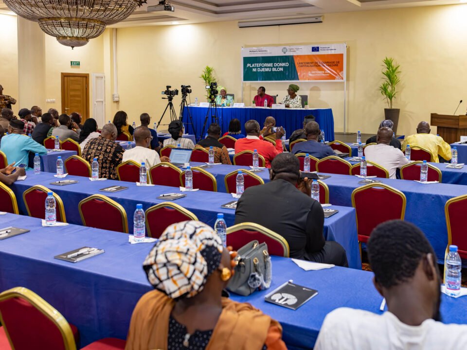 Mali : faire entendre chaque voix, construire la démocratie — 19