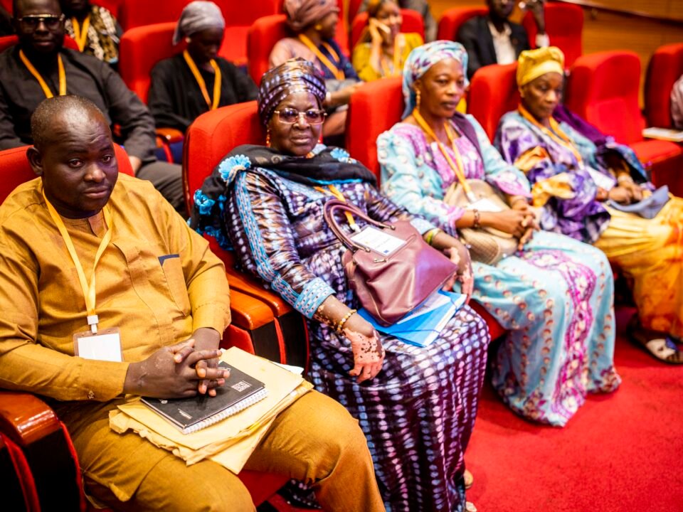 Mali : faire entendre chaque voix, construire la démocratie — 25