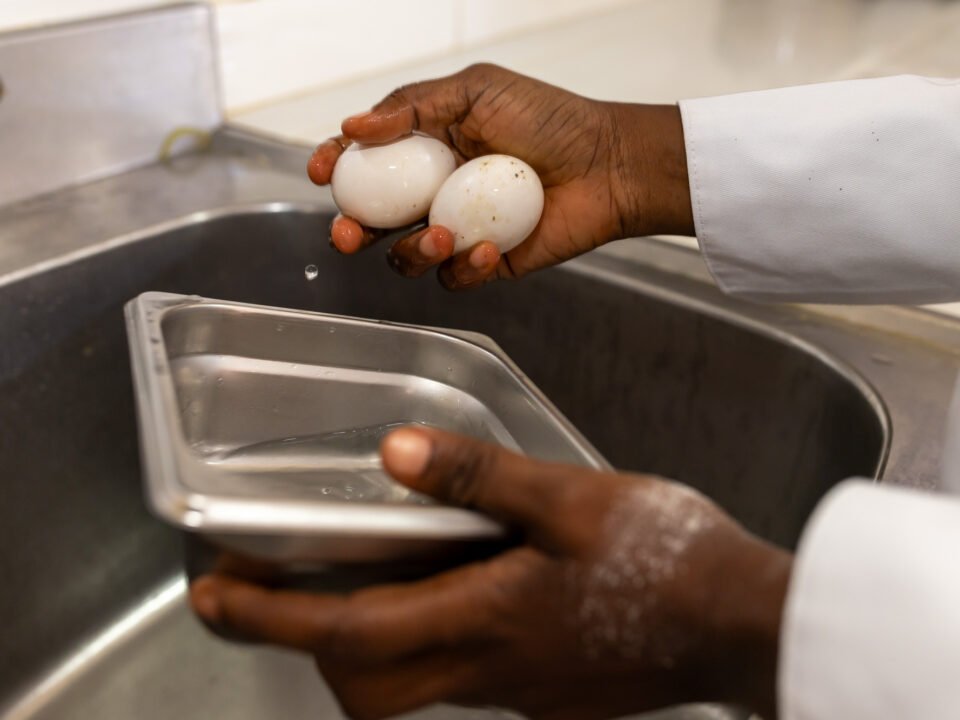 GGP Culinary School : apprendre un métier, construire son avenir — 50