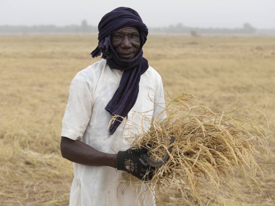 Innovating to reach the last mile — 3
